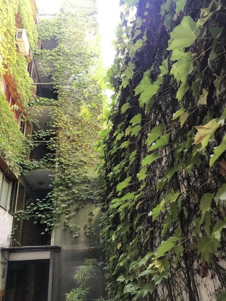 Departamento De 2 Dormitorios, Excelente Ubicacion Μεντόζα Εξωτερικό φωτογραφία